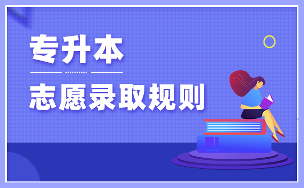 2021年湖南理工学院专升本录取原则和比例