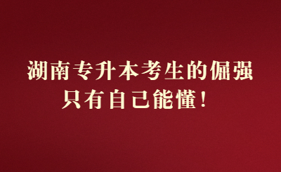 湖南专升本考生的倔强,只有自己能懂!(图1) 元旦节祝福创意大字公众号首图.jpg
