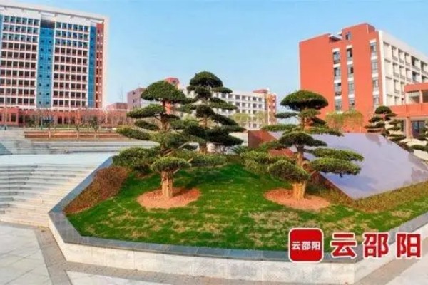 邵阳工业职业技术学院2024年单招简章