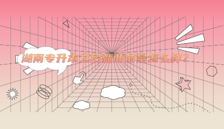 湖南专升本之后就业前景怎么样？