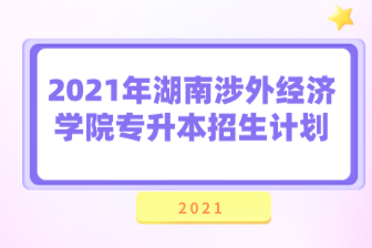 2021年湖南涉外经济学院专升本招生计划