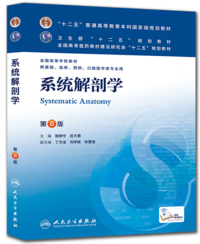 系统解剖学
