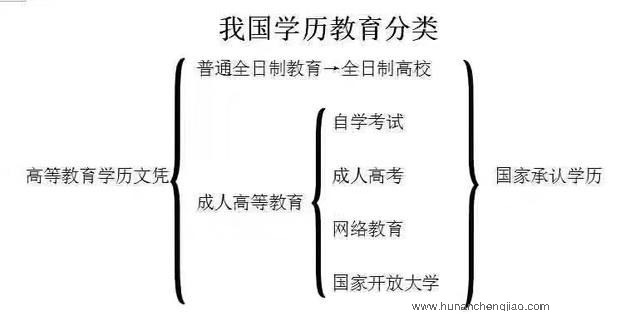 学历教育分类