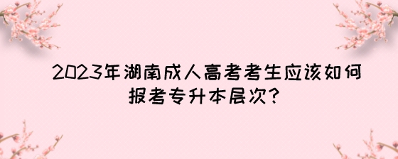 2023年湖南成人高考考生应该如何报考专升本层次?(图1) 2023年湖南成人高考考生应该如何报考专升本层次?.jpeg