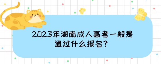 2023年湖南成人高考一般是通过什么报名?(图1) 2023年湖南成人高考一般是通过什么报名?.jpeg