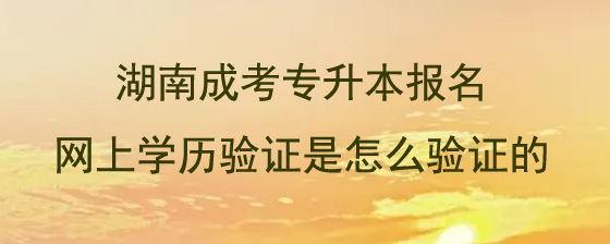 湖南成人高考专升本报名网上学历验证是怎么验证的.jpg