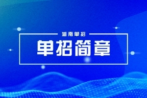 长沙文创艺术职业学院2024年单招简章